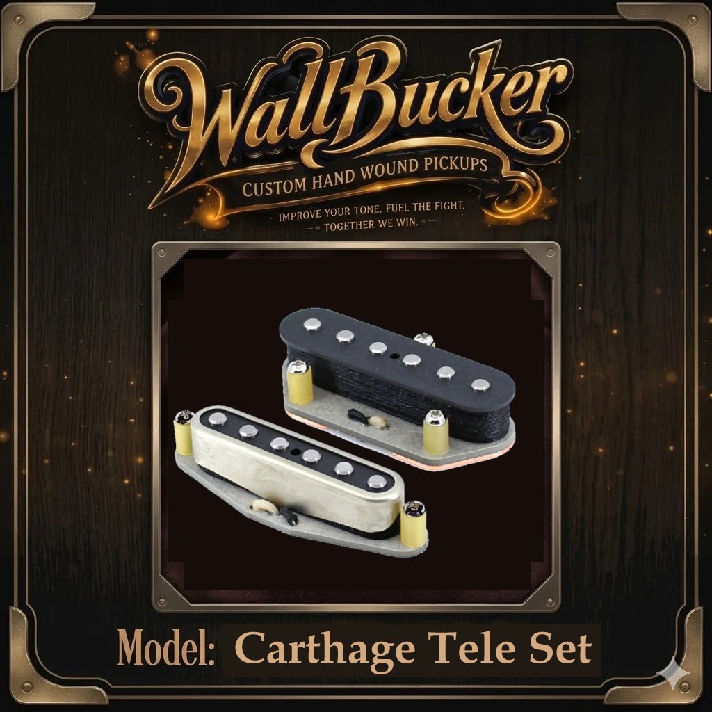Carthage Telecaster Set